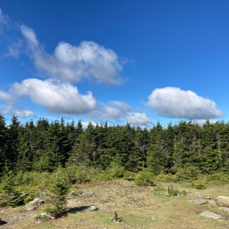 SUNDAY, MOUNT HALE (4,054'): If you stand on the summit pile of rocks near where a fire tower once stood, you can just about make out scenery beyond the trees